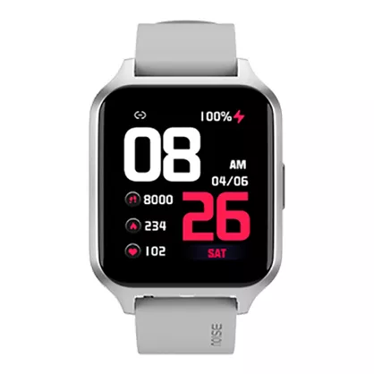 Buy Noise ColorFit Brio Smart Watch Silver Grey at the Best Price