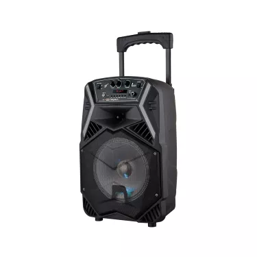 impex trolley speaker 100w